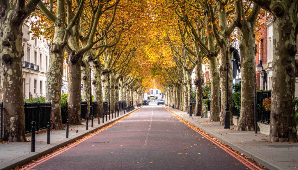 Private Detectives in Ealing