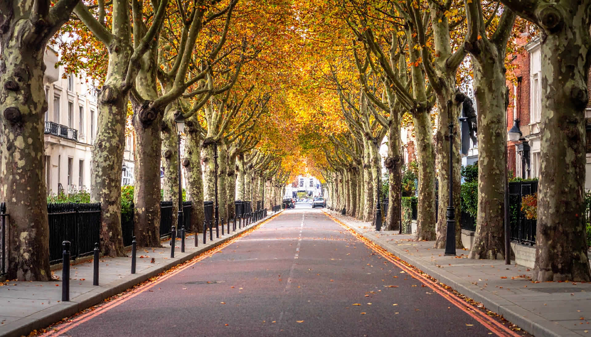 Private Detectives in Ealing